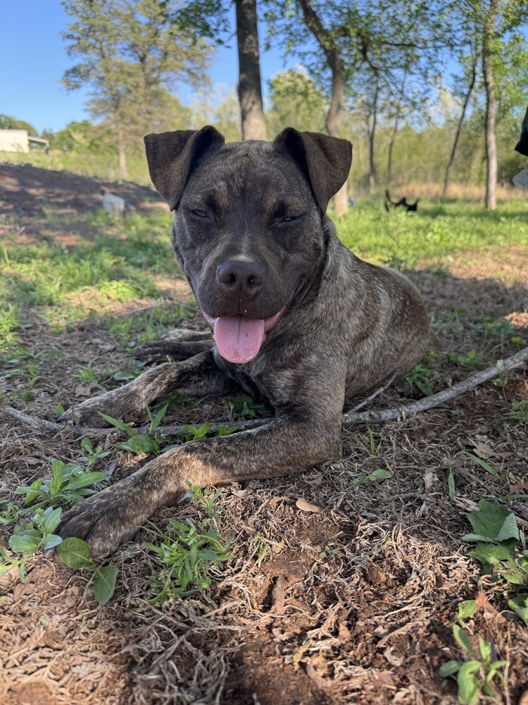 Coco