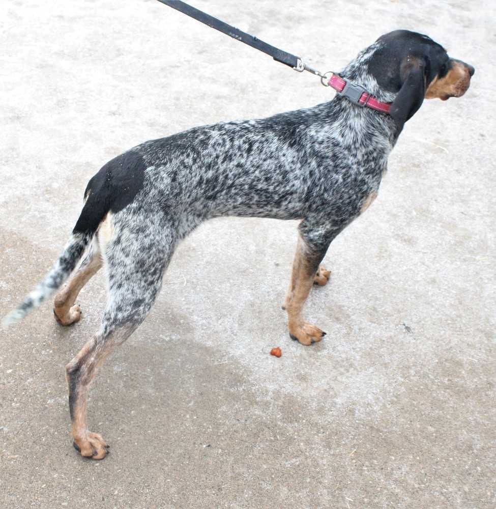 LuLu