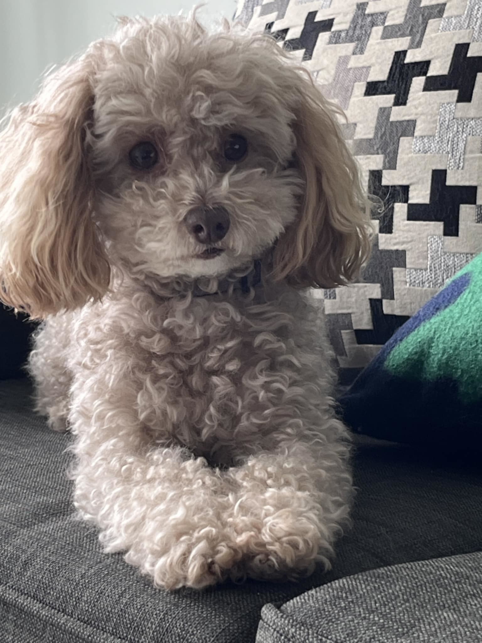 Bailey