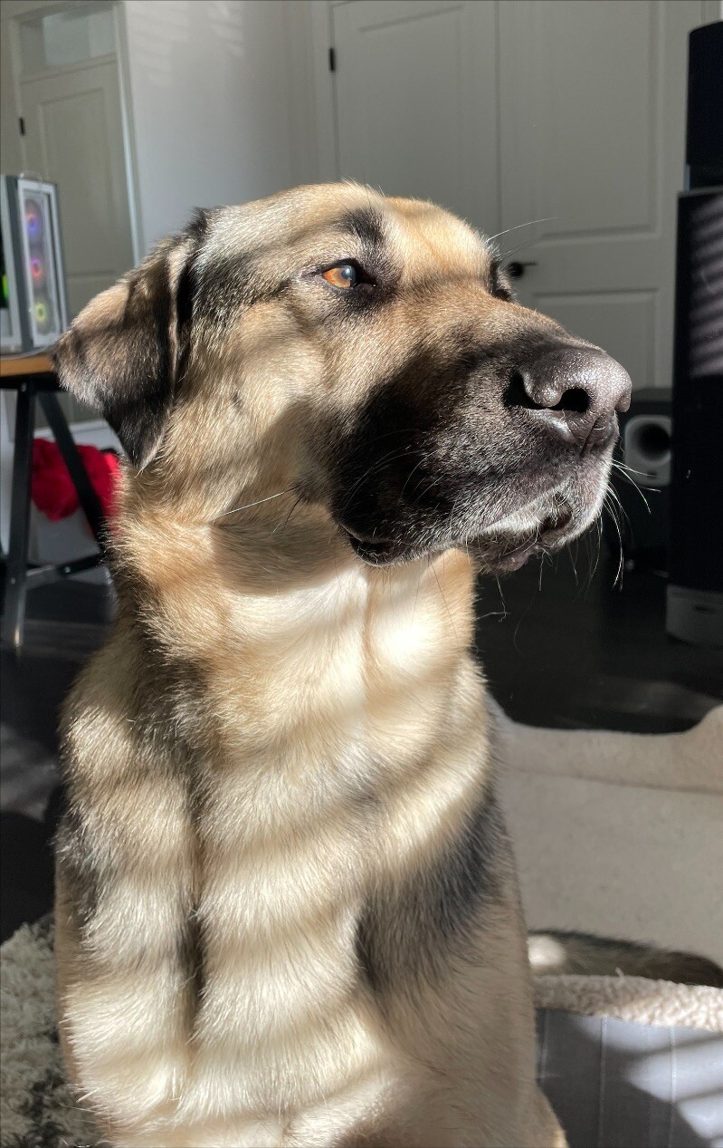 Leo