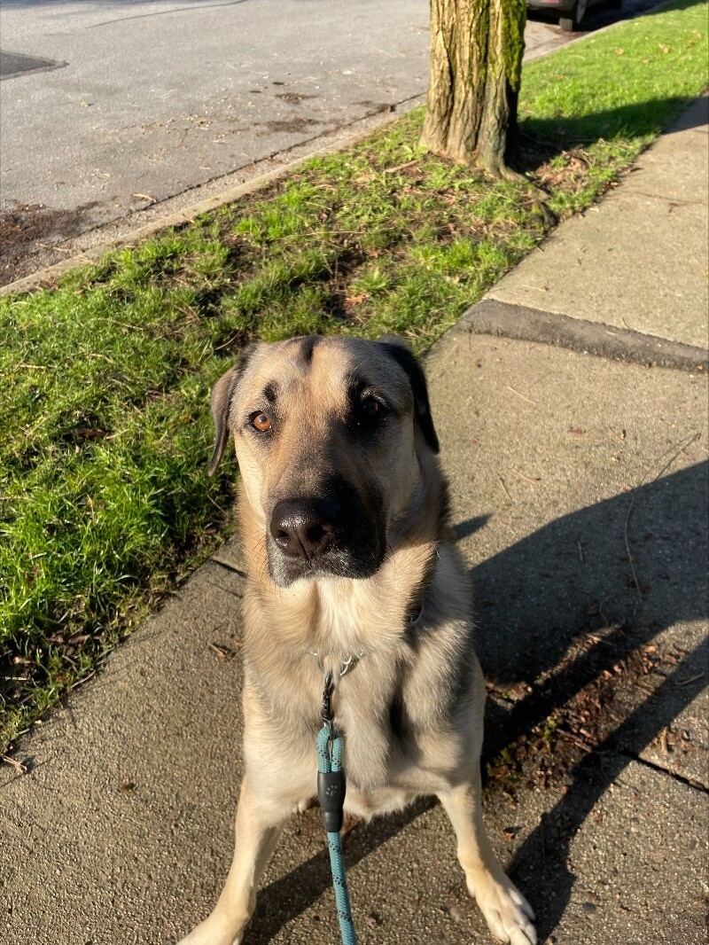 Leo