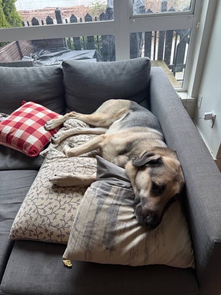Leo