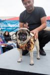 Riggs *special needs* *bonded to Elodie* / Elodie *bonded to Riggs* photo 5