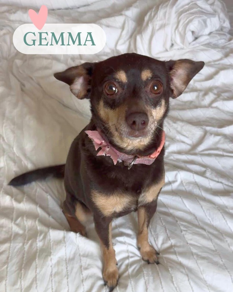Gemma