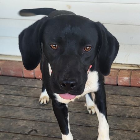 Tux photo