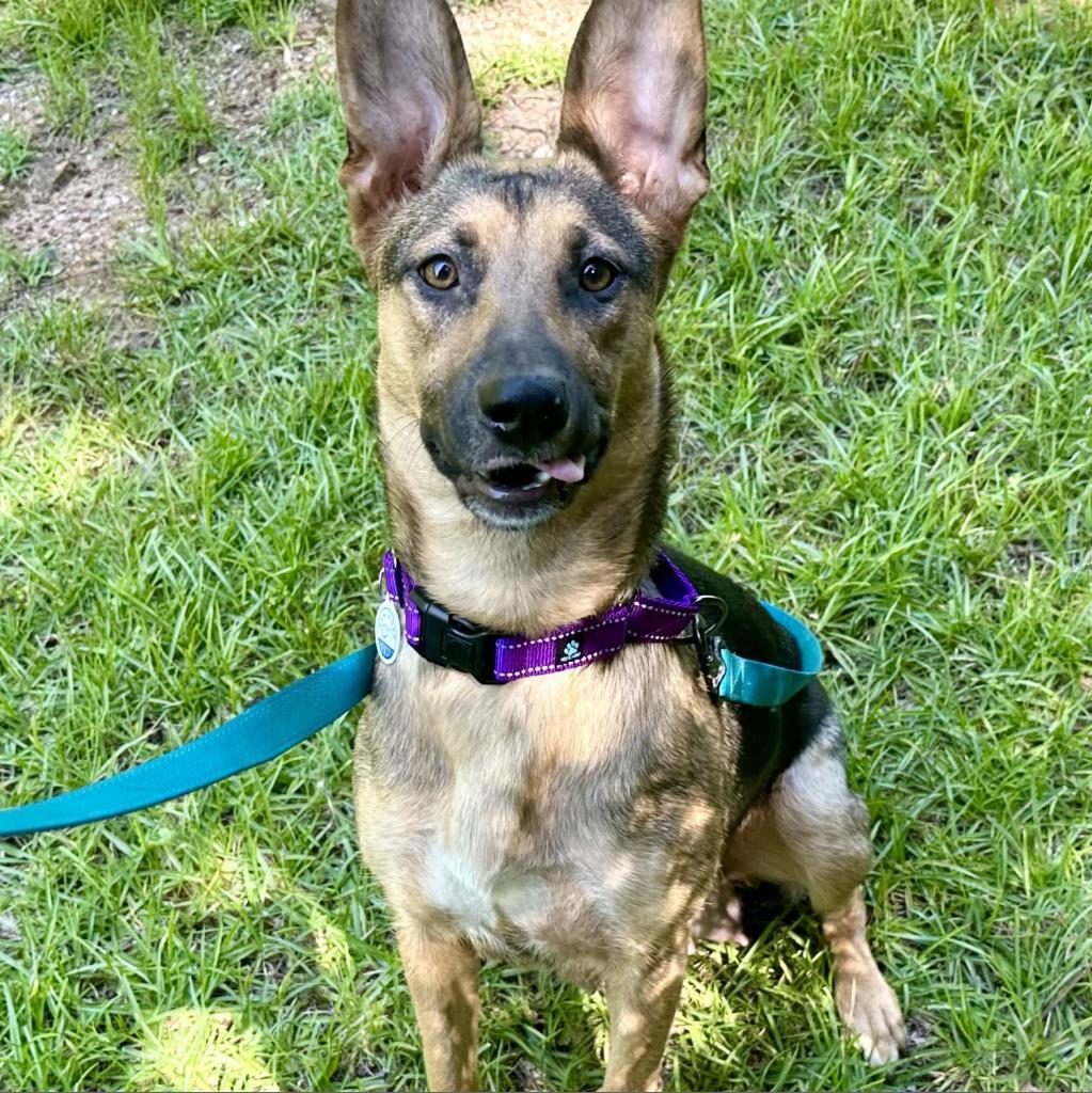 Hera