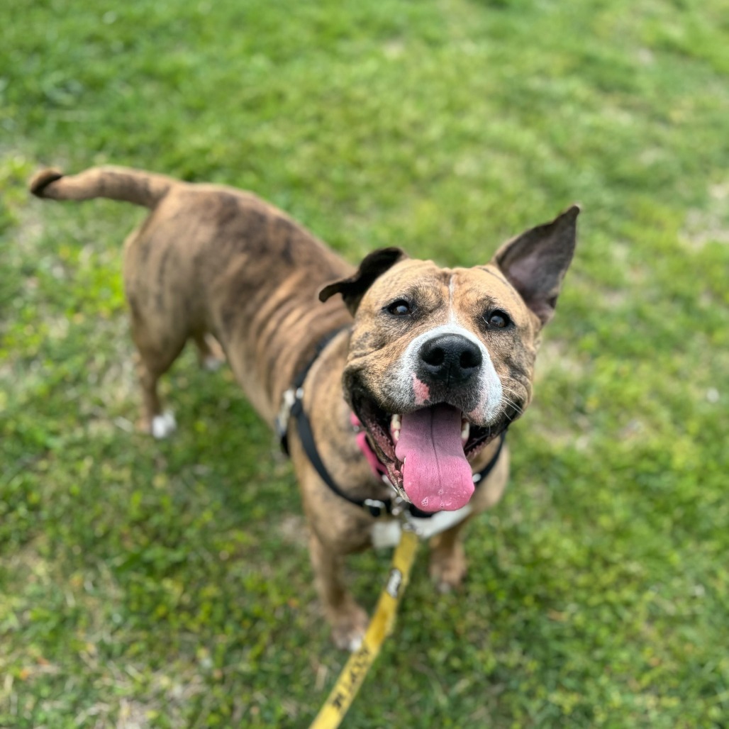 Coco