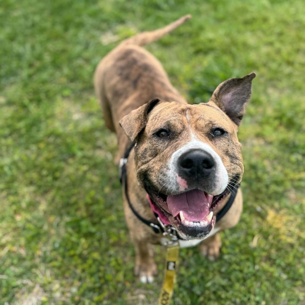 Coco