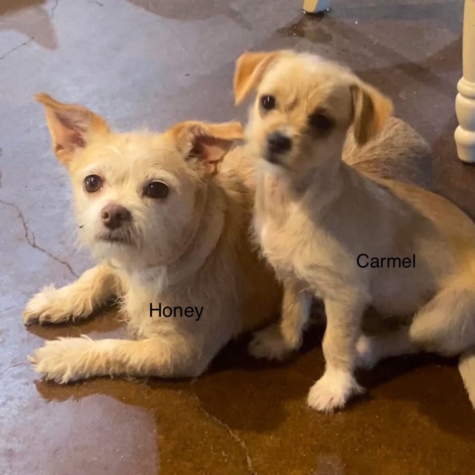 Carmel (Dallas)
