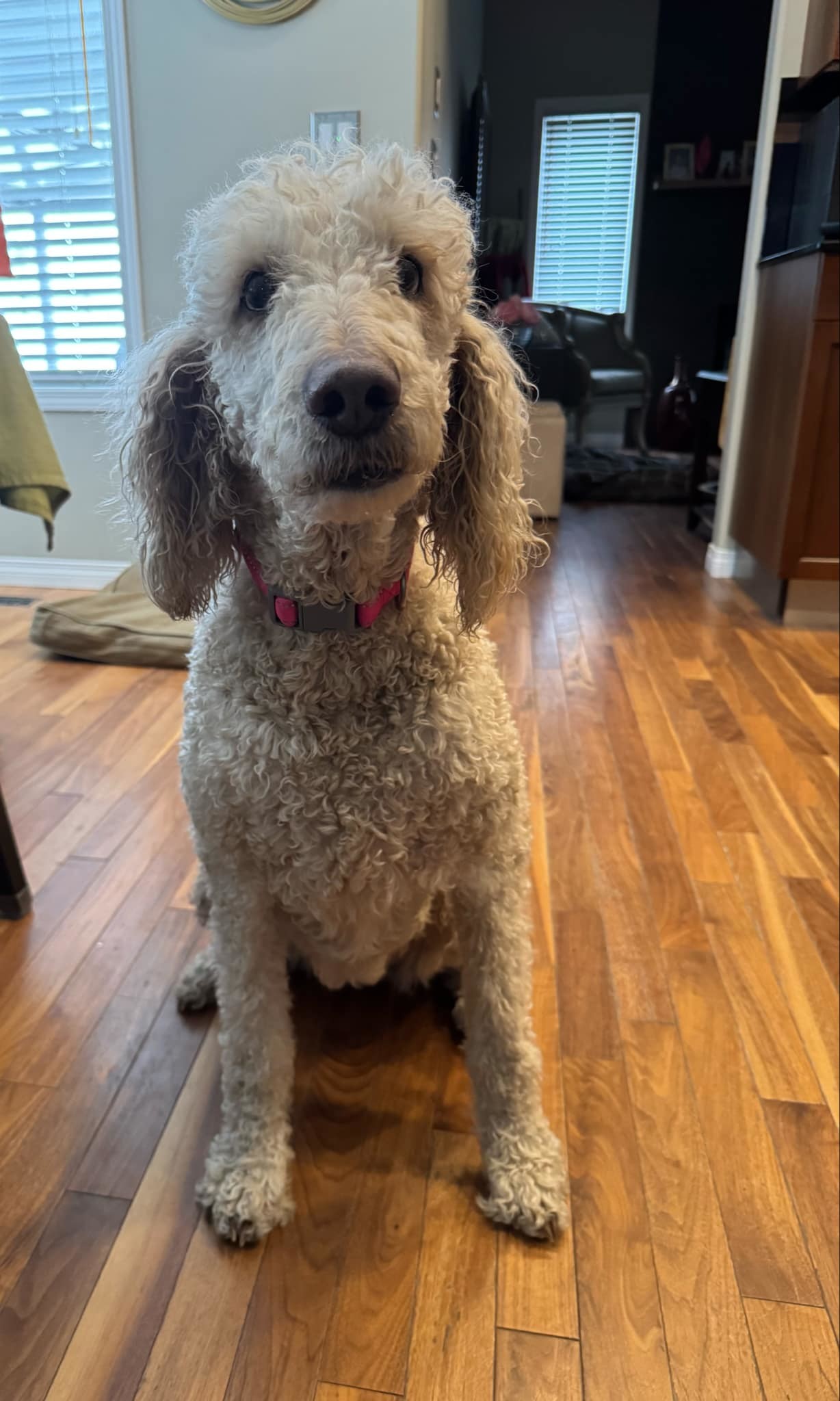 Ruby