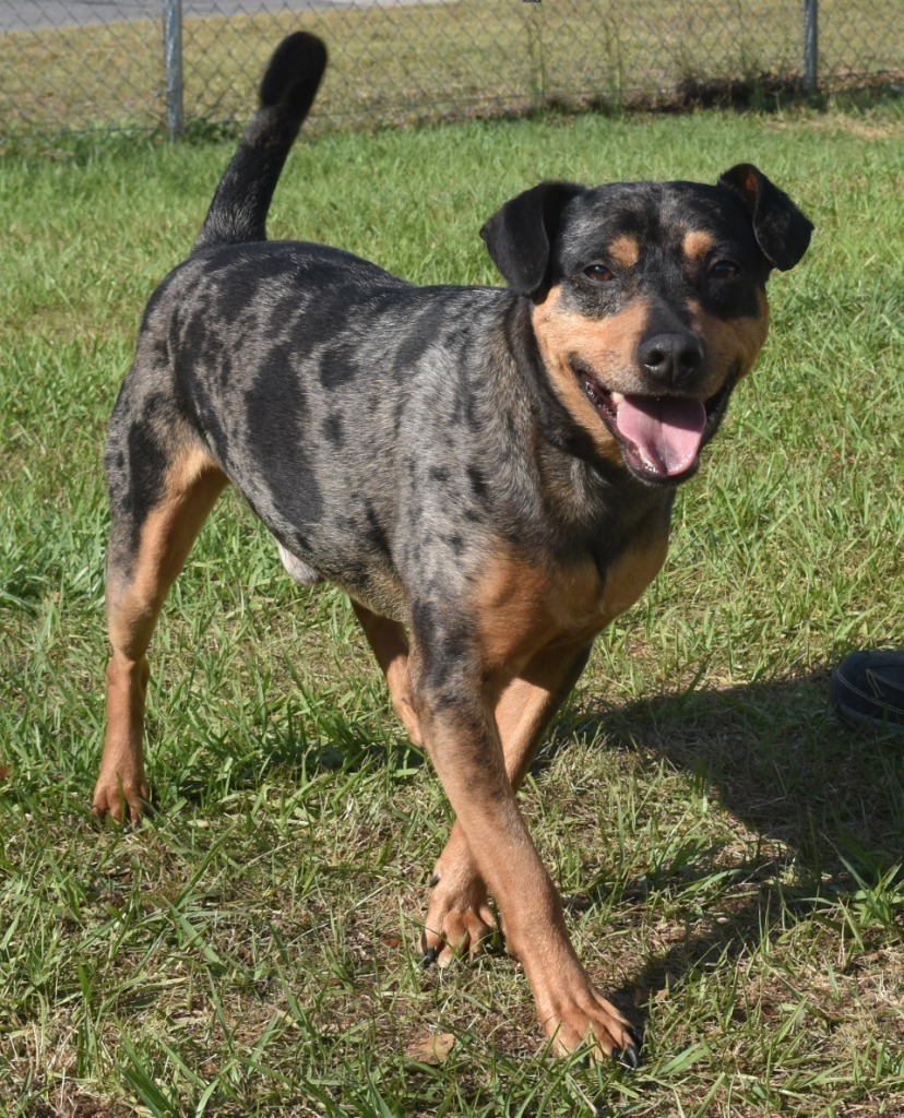 Axel