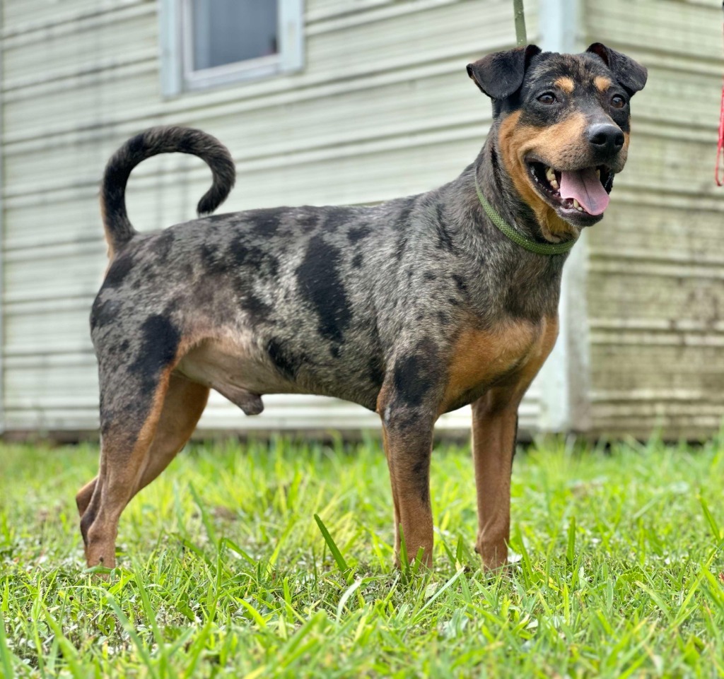 Axel