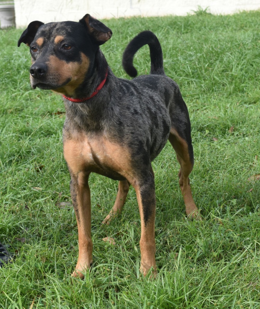 Axel