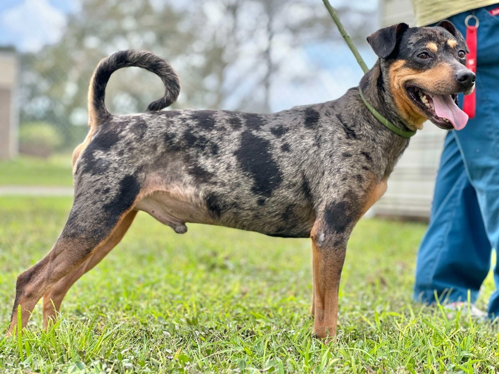Axel