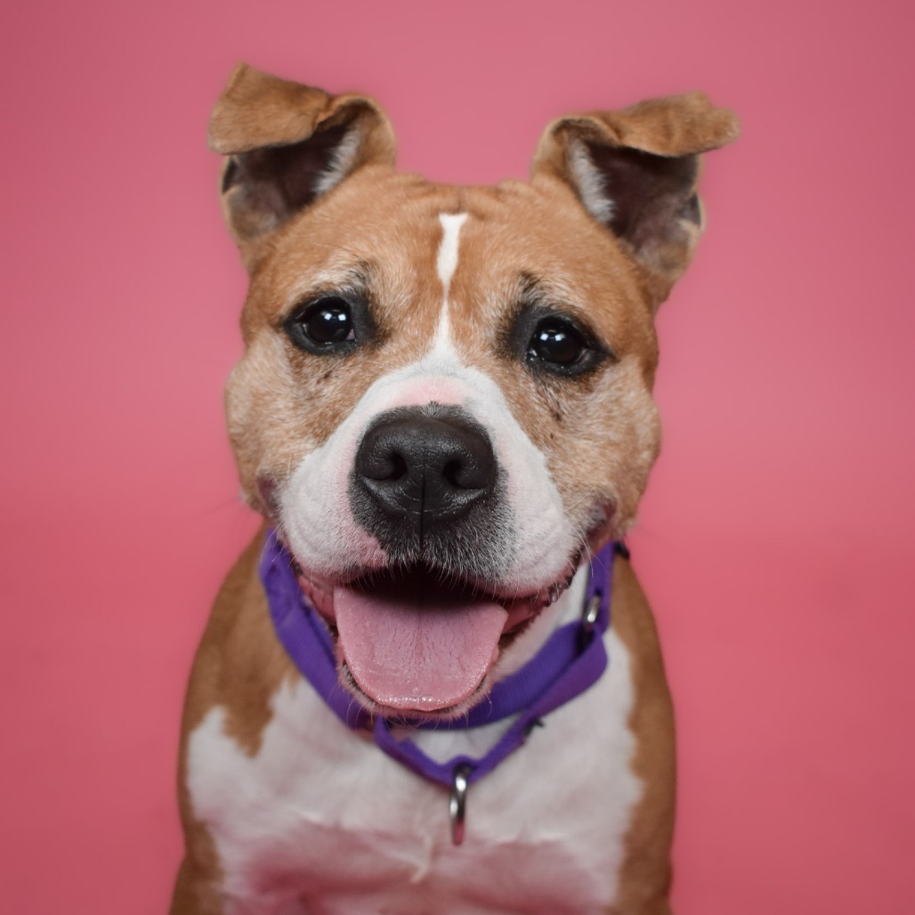 Bonnie