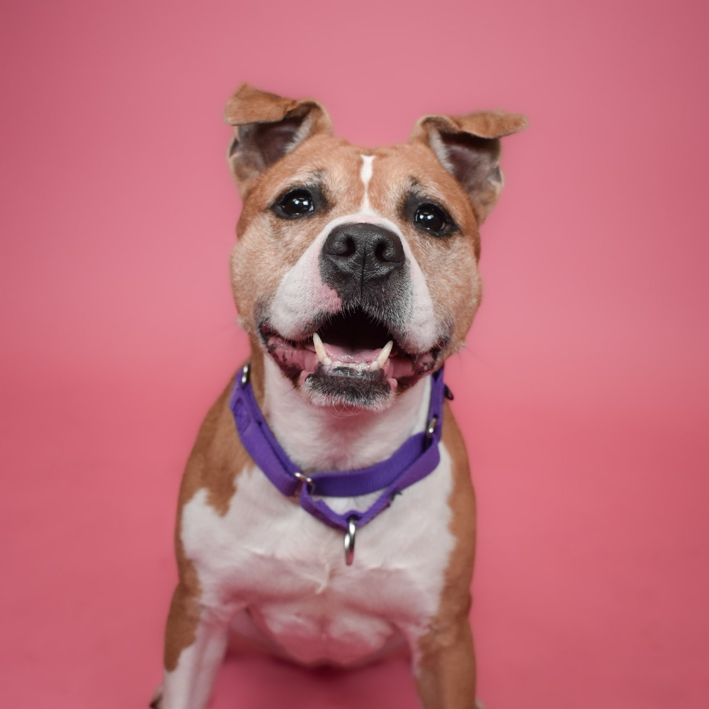 Bonnie