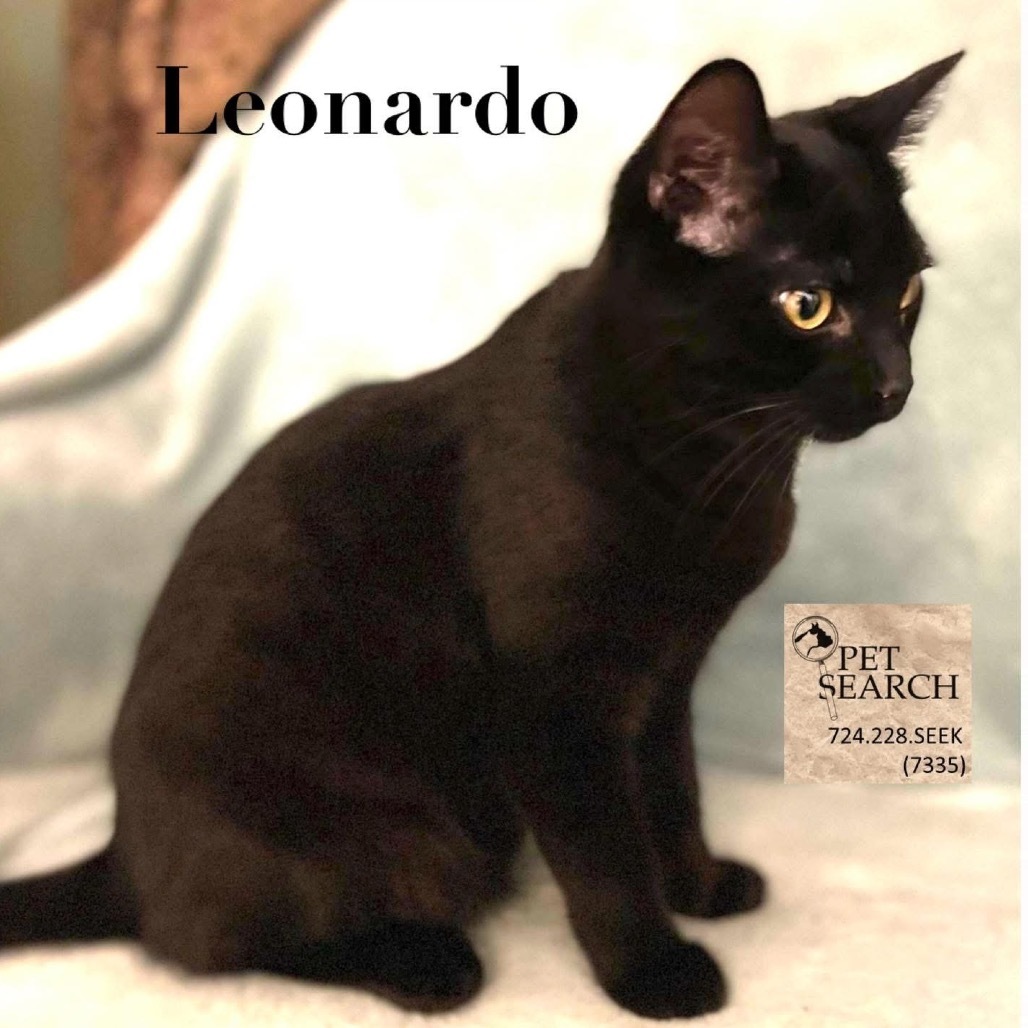 Leonardo