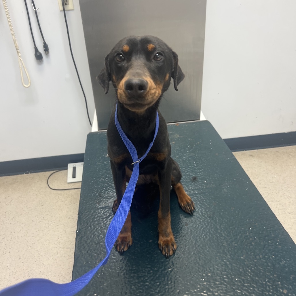 Milli (Formerly Flo Milli)