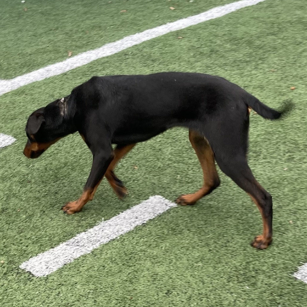 Milli (Formerly Flo Milli)