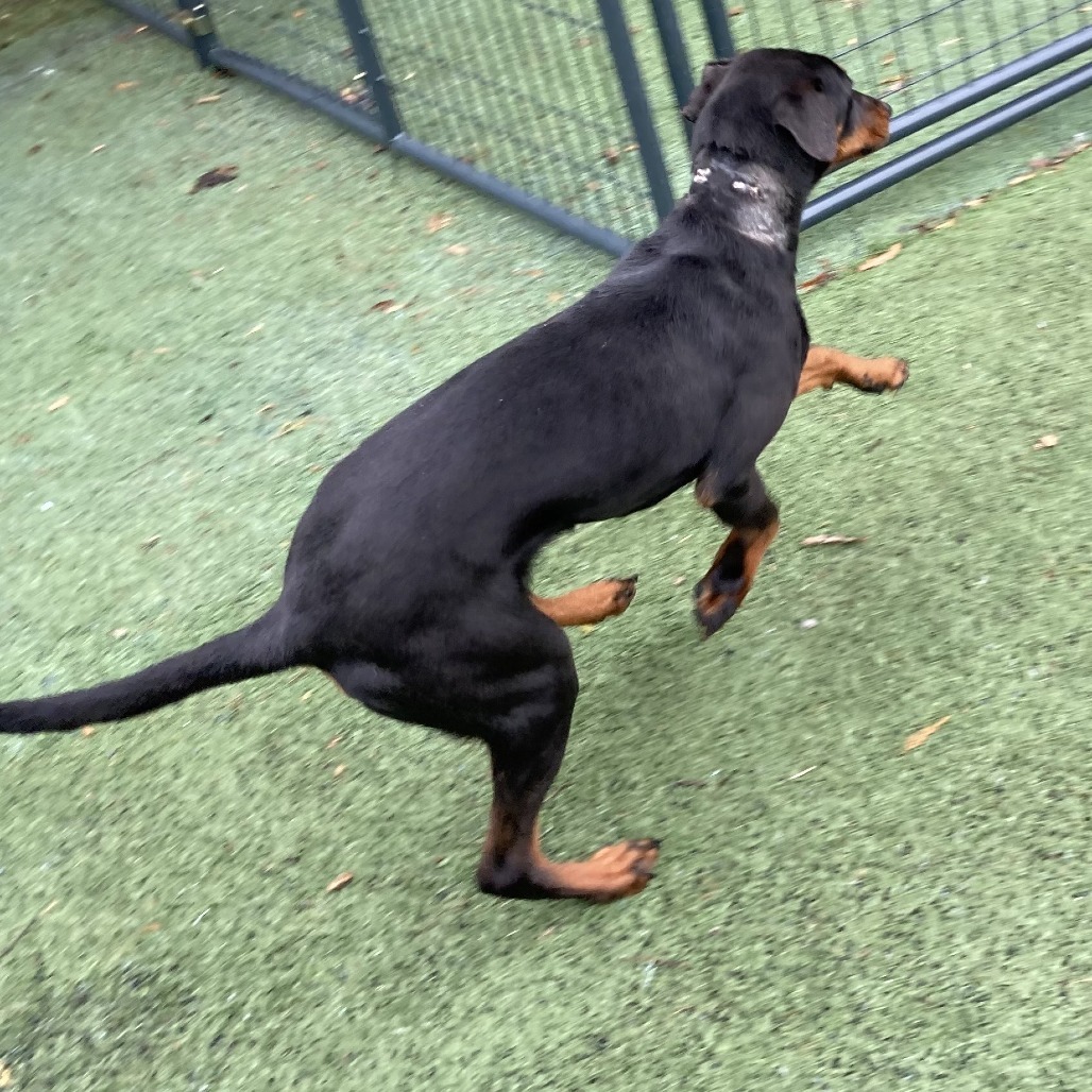 Milli (Formerly Flo Milli)