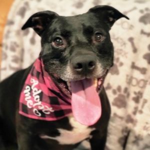 Cali, Senior Female unknown