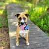 Arlo photo 1
