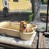 Arlo photo 4