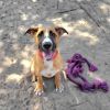 Arlo photo 5
