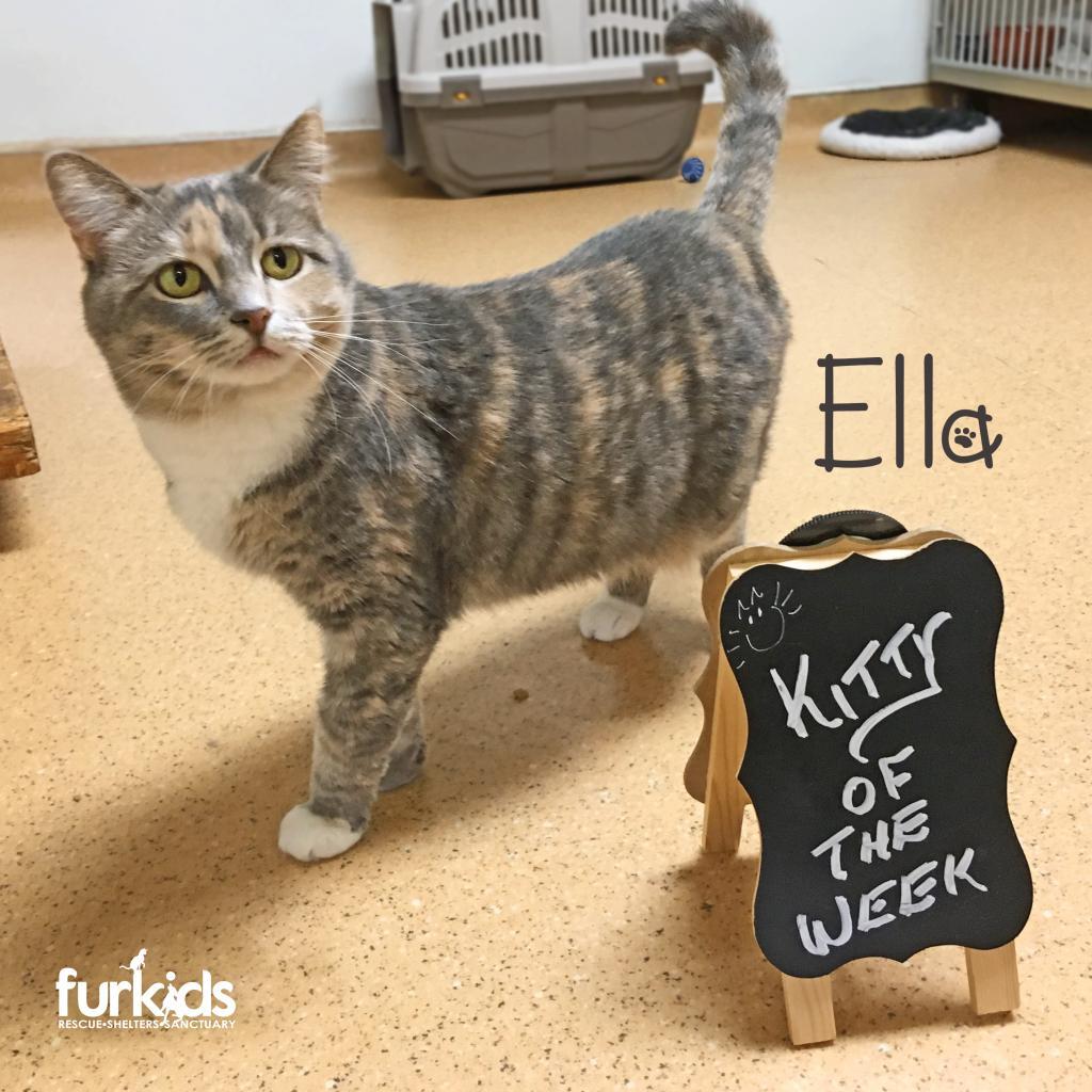 Ella