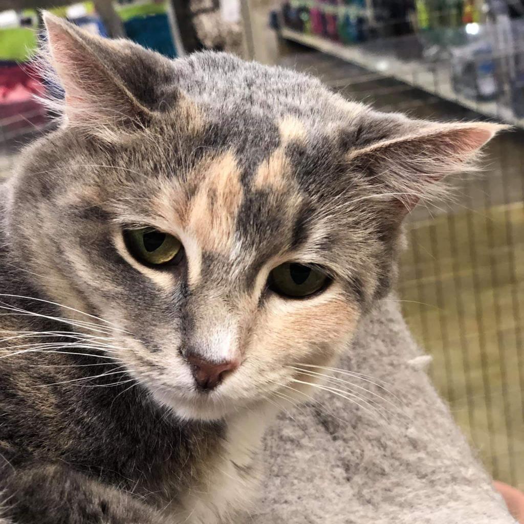Ella