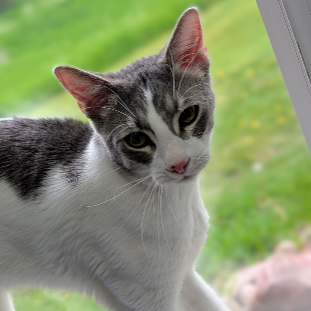 Milton