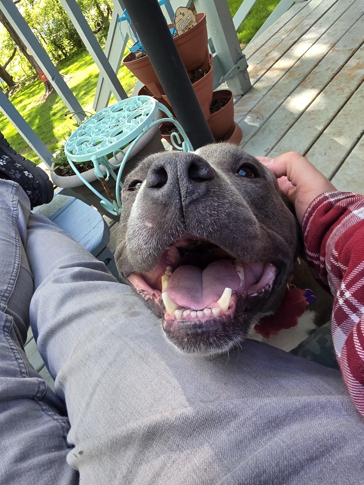 Ellie Electric