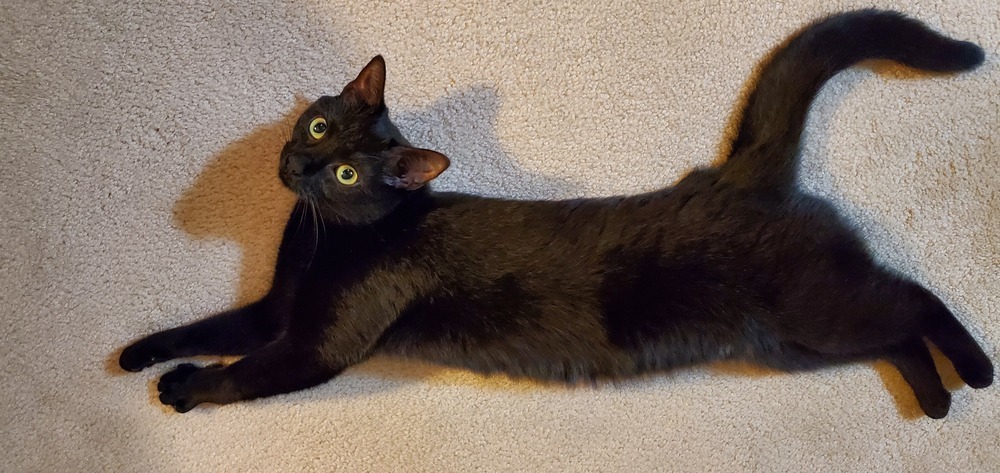 Beatrice