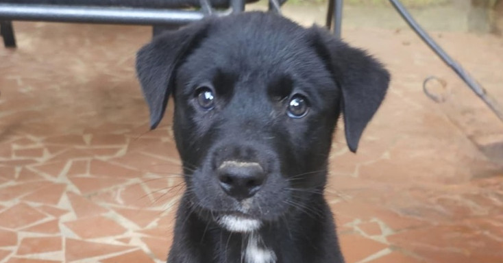 Mandela