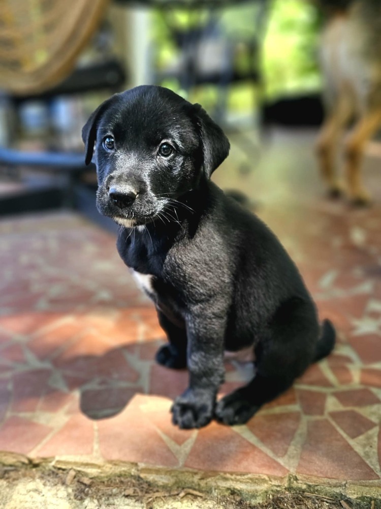 Mandela