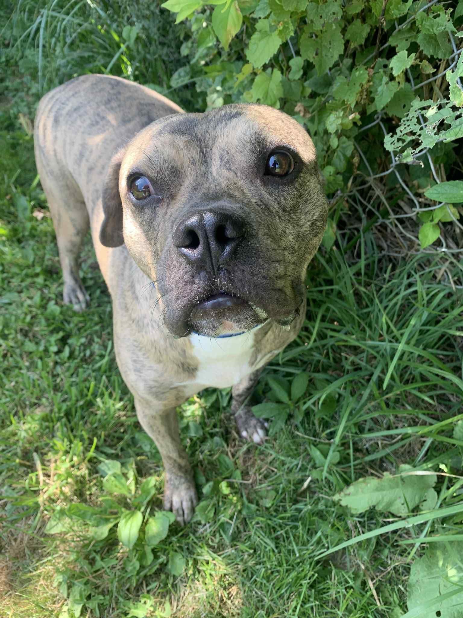 Doby Sylvester