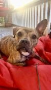 Doby Sylvester photo 2