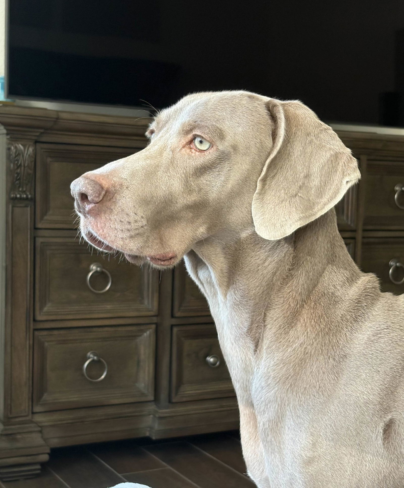 Ernie