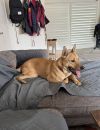 Maggie photo 3
