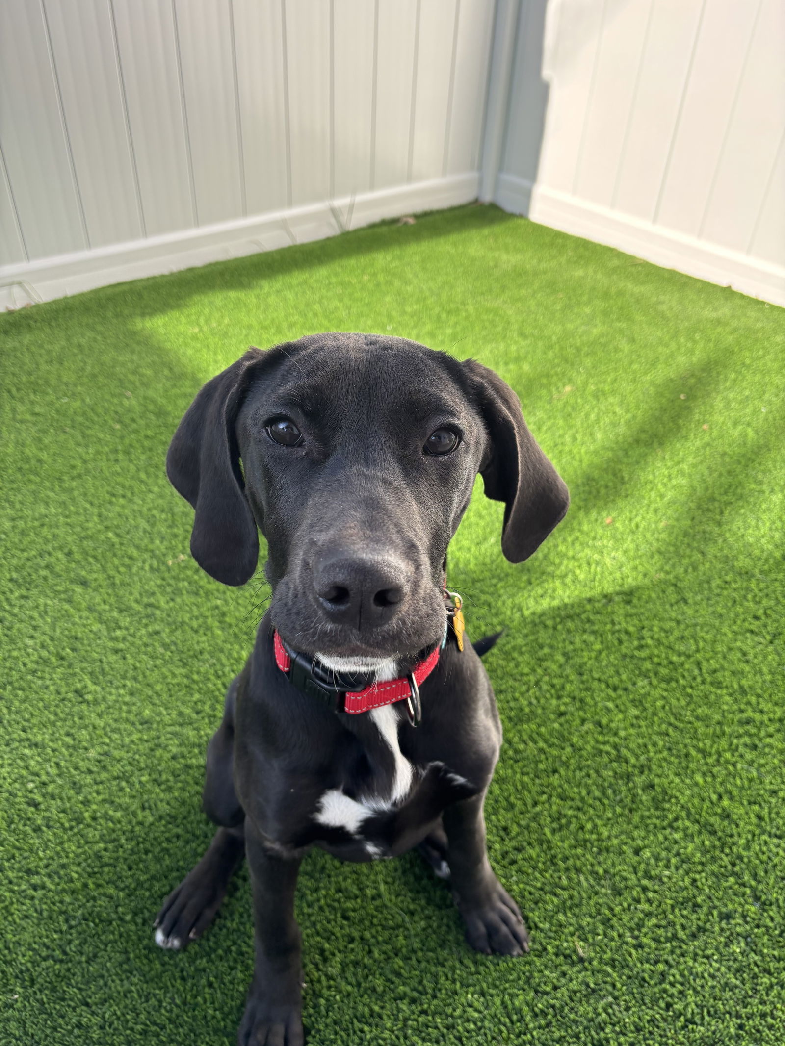 Ernie