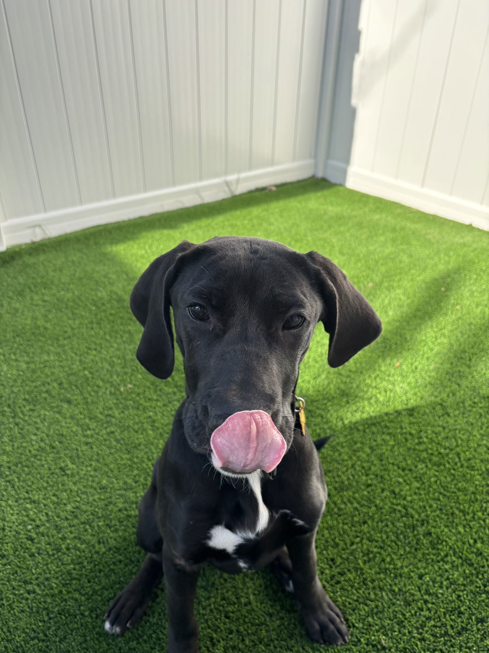 Ernie