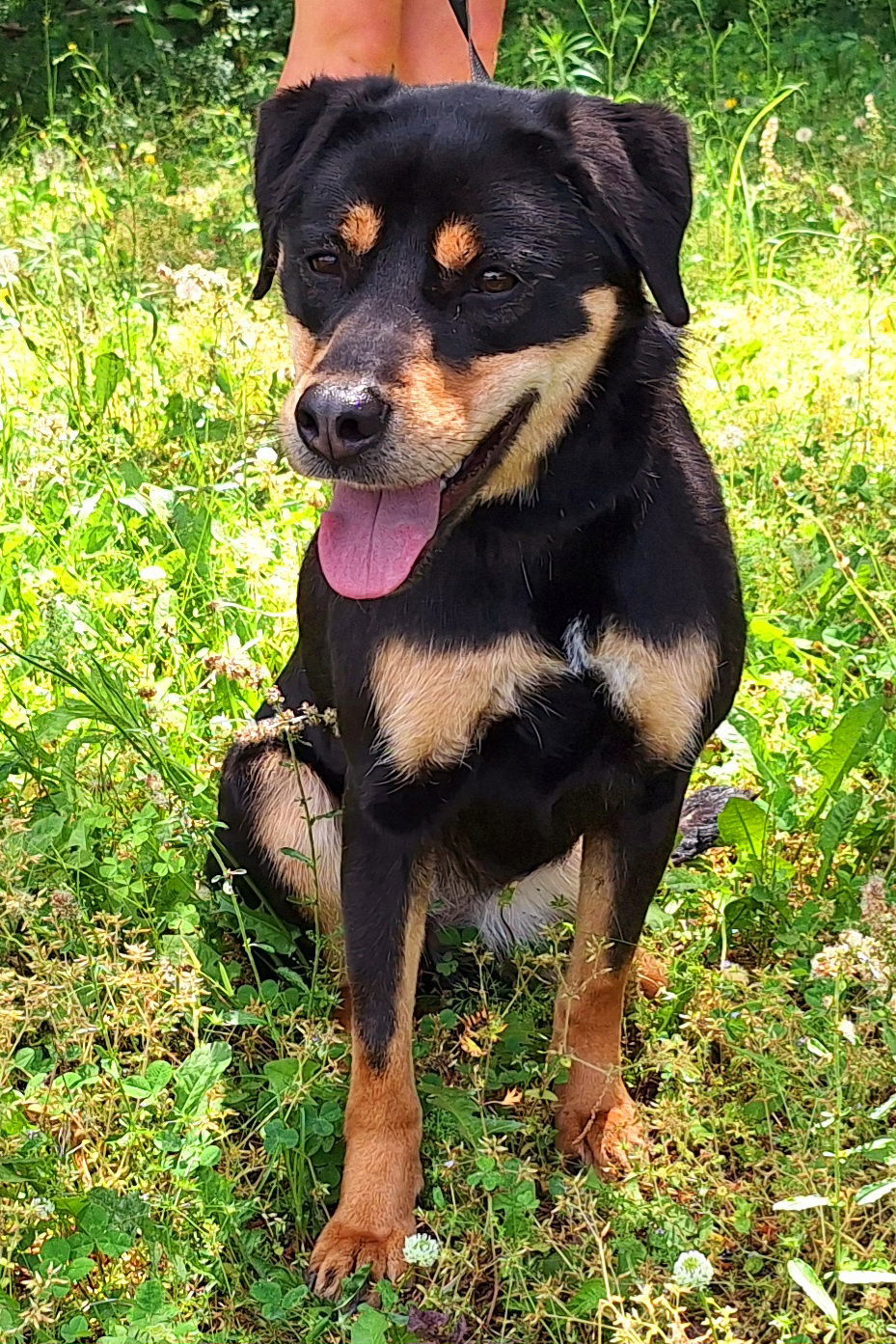 250503 Penny