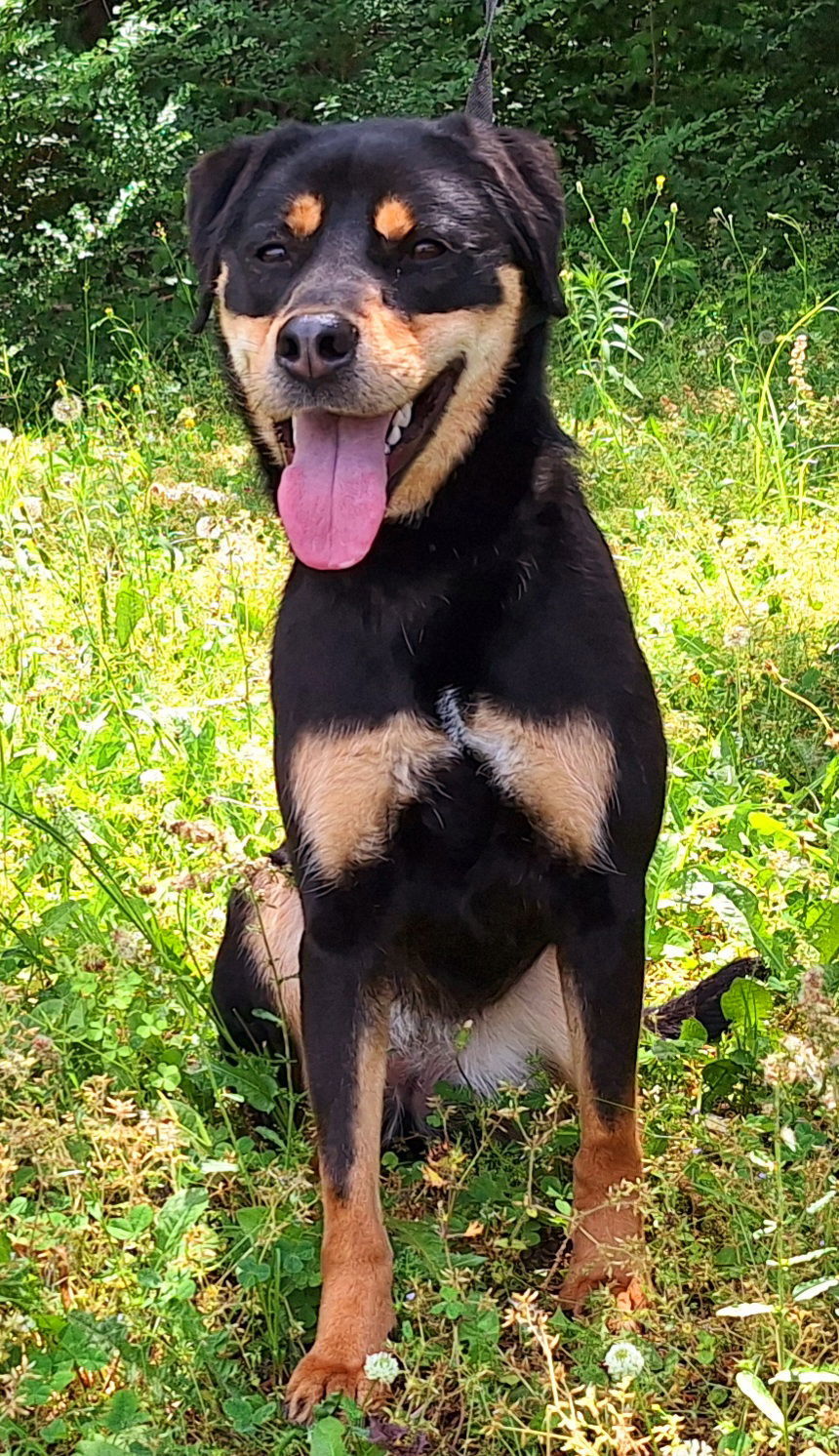 250503 Penny