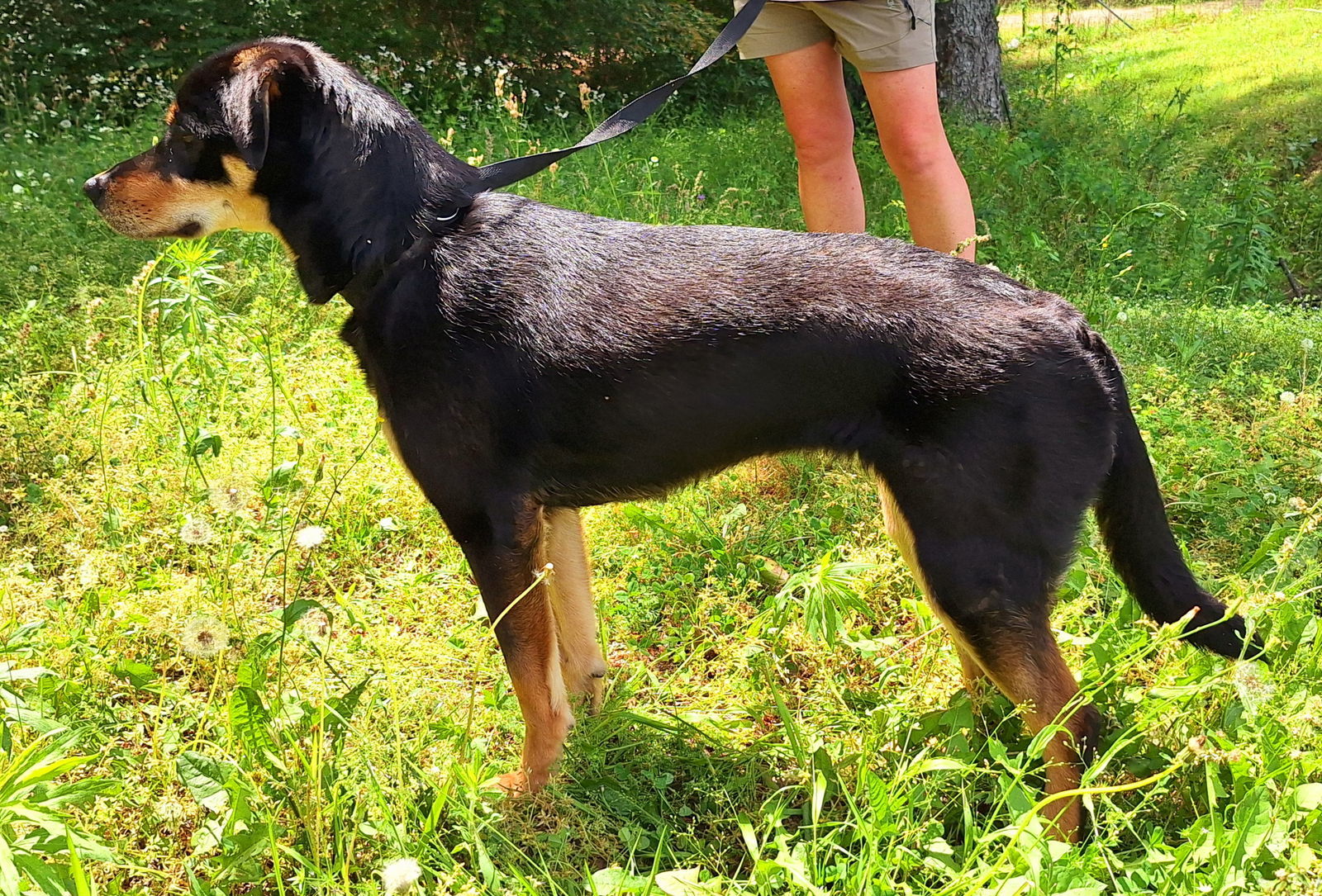 250503 Penny