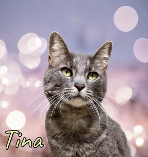 Tina 124451