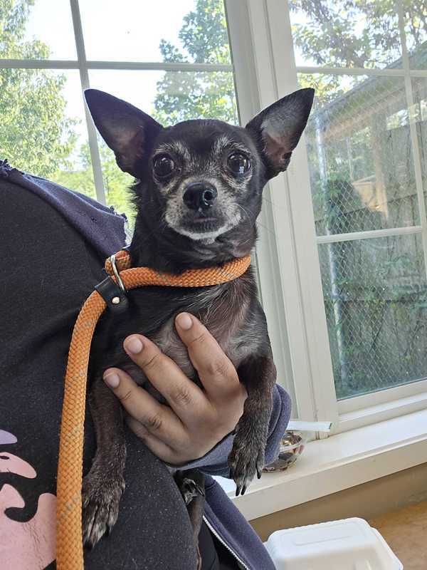 Esperanza Aka Coco