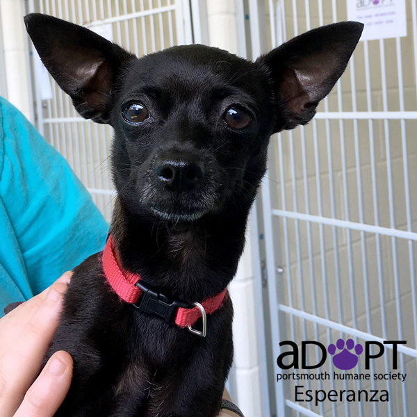 Esperanza Aka Coco