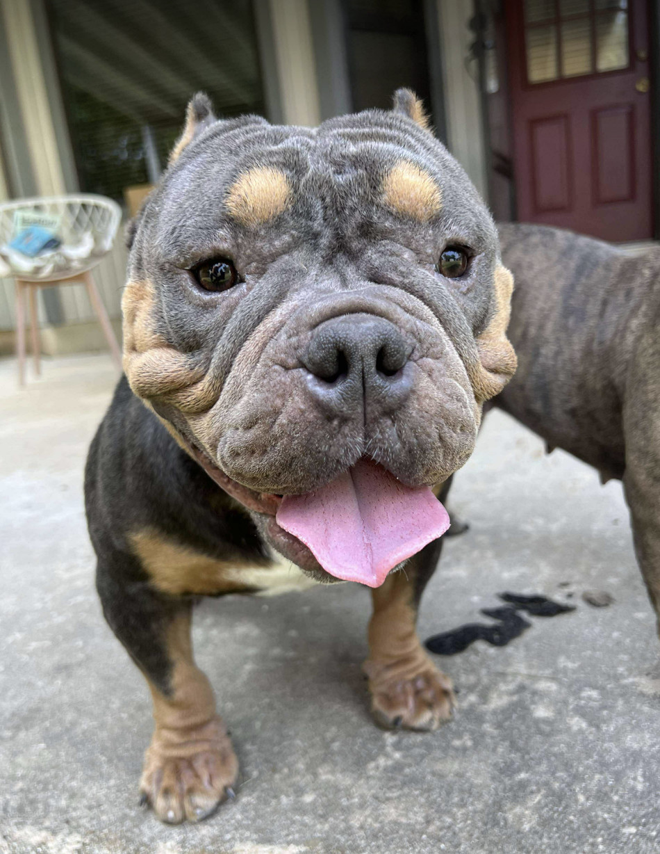 Floyd