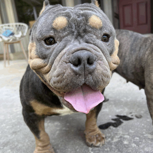 Floyd