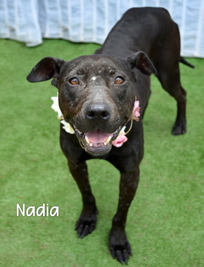 Nadia